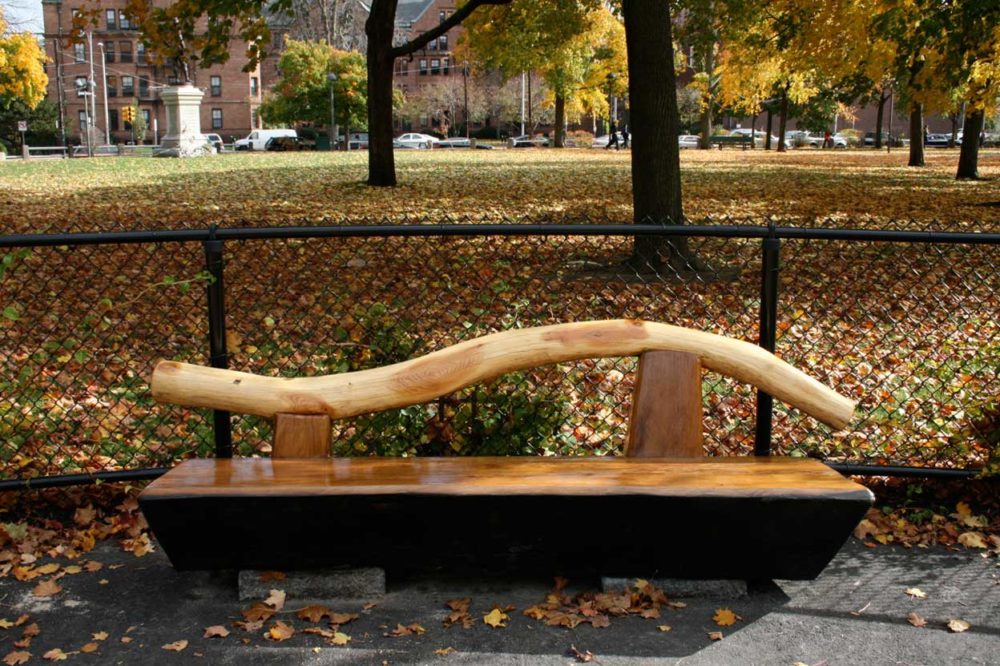 Reclaimed Southern Live Oak Benches ~ Cambridge Common, Massachusetts