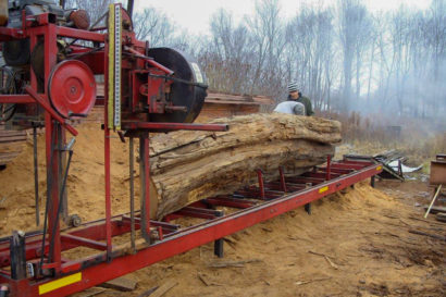 Chestnut Ghost Log Being Milled In The Appalachian Mountains