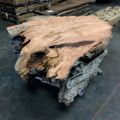 Salvaged Redwood Root Ball