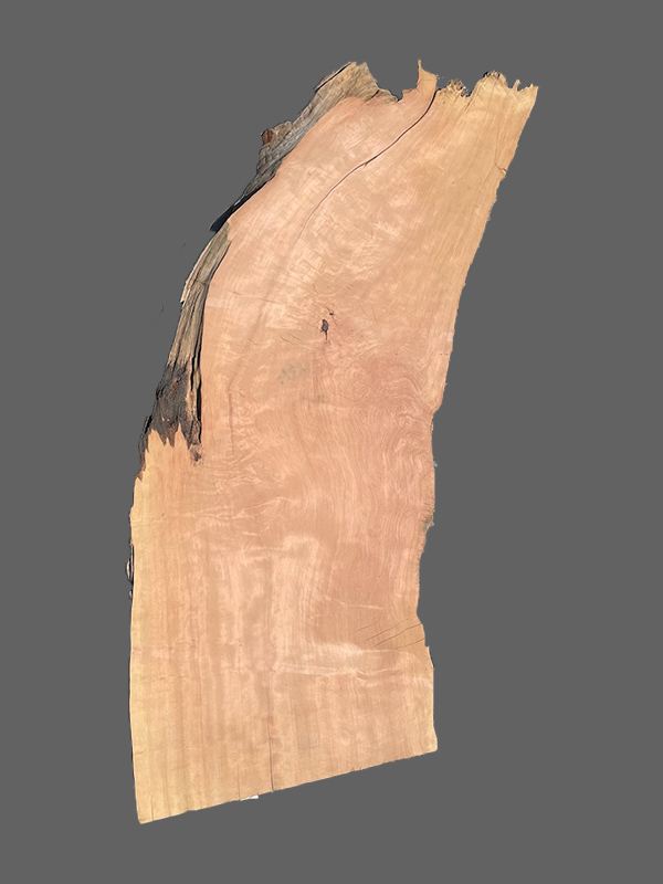 Salvaged Redwood Slab #1429