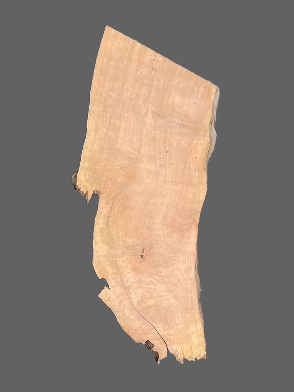 Salvaged Redwood Slab #1469