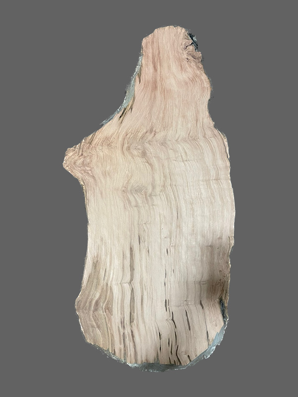 Salvaged Redwood Slab #23