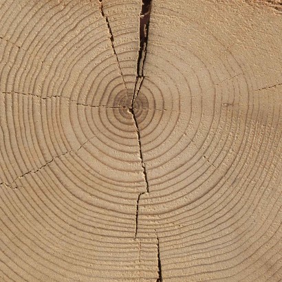 Longleaf Lumber - This...