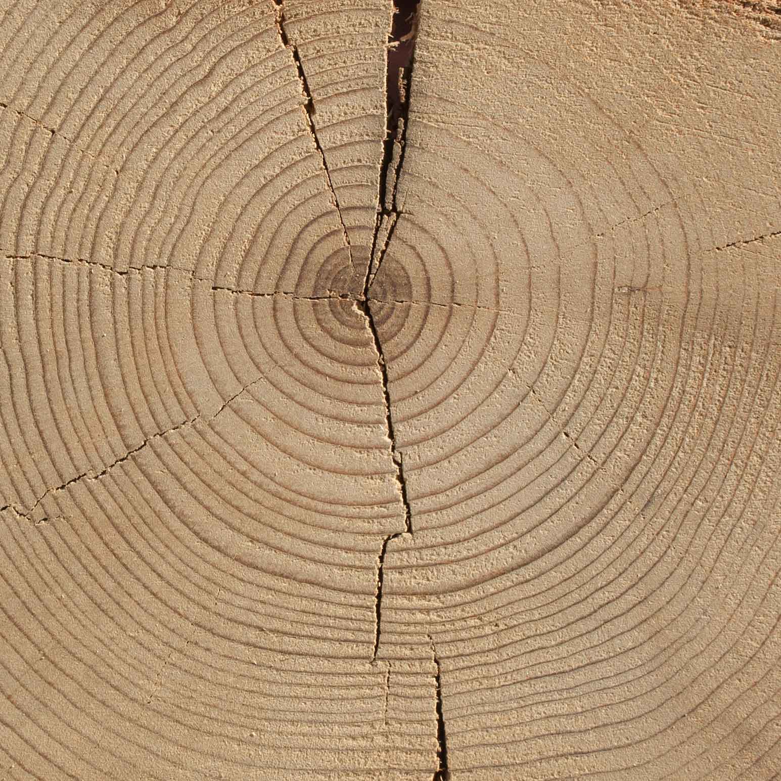 wood flooring end grain  | 1200 x 628