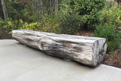 Salvaged Live Oak Bench At Walden Pond, Concord, MA