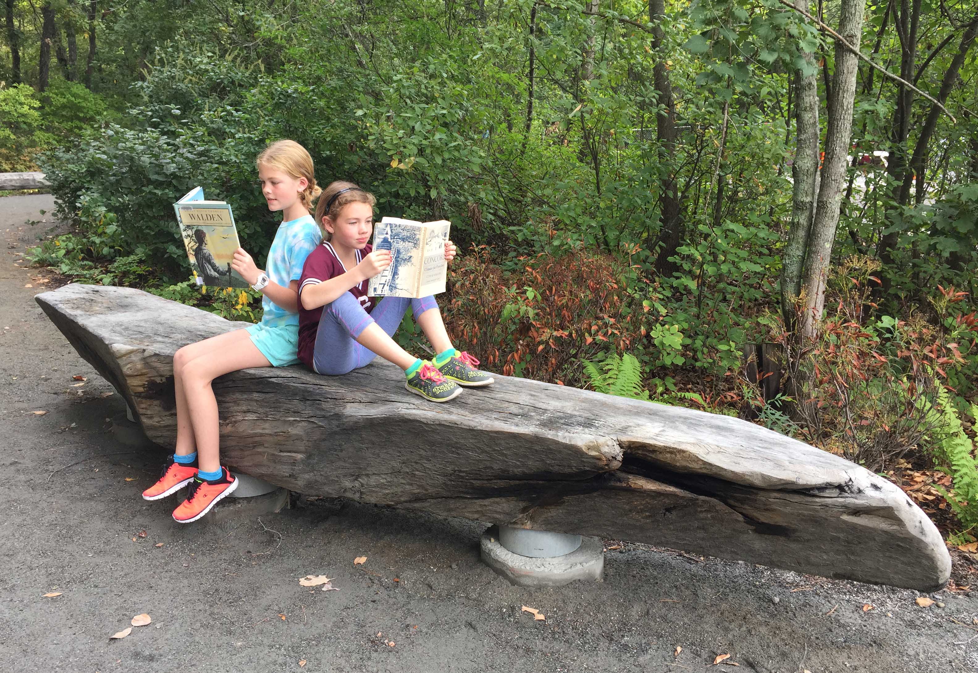 Longleaf Lumber Walden Pond Benches